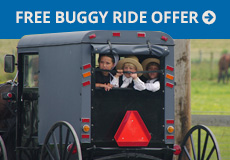 Free Buggy Ride Offer