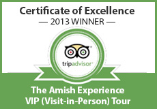 Trip Advisor