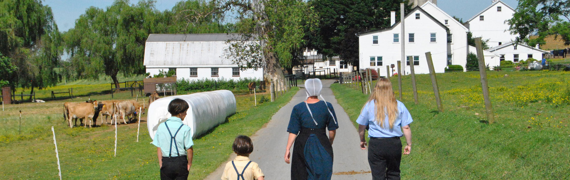 VIP Tour for 2024 The Amish Experience