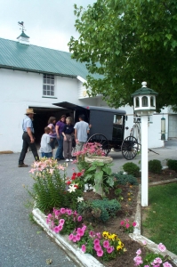 Visiting an Amish farm 008